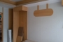 ö